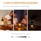 Candle Warmer Lamp with Timer, Dimmable Candle Lamp Warmer Electric Candle Warmer Compatible with Small and Large Scented Candles, Candle Melter for Bedroom Home Decor Gifts for Mom (Black)
